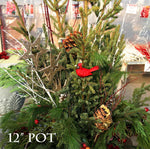 Blaine - Spruce Tip Pot Workshop 2025