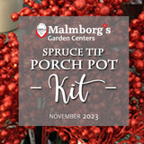 Spruce Tip Pot Kit - Pre-order