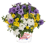6" pot - Combos