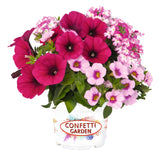 6" pot - Combos