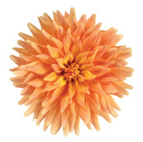 12" Patio Pot - Dahlia
