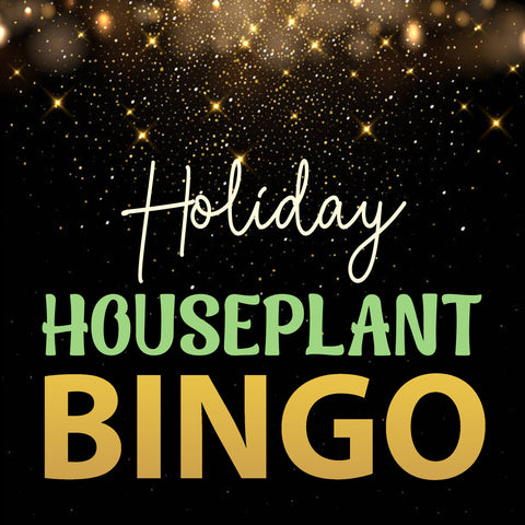Holiday Houseplant Bingo - Rogers