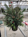 Spruce Tip Pot - 12" Pot