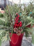 Spruce Tip Pot - 10" Pot