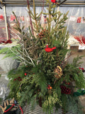 Spruce Tip Pot - 12" Pot