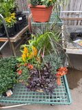 Fall Planter Workshop