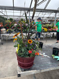 Fall Planter Workshop