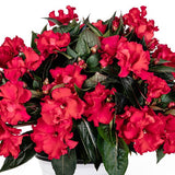 5" pot - Impatiens Roller Coaster