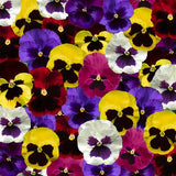 14" pot - Pansy Bowl