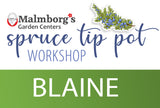 Blaine - Spruce Tip Pot Workshop 2025