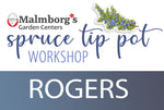 Rogers - Spruce Tip Pot Workshop 2025