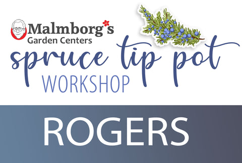 Rogers - Spruce Tip Pot Workshop 2025