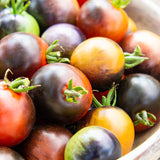 6.3" pot - Tomatoes