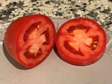 6.3" pot - Tomatoes