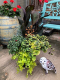 Fall Planter Workshop