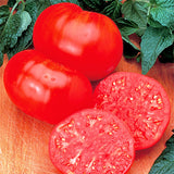 6.3" pot - Tomatoes