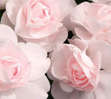 5" pot - Impatiens, Double