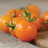6.3" pot - Tomatoes