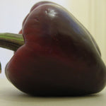 4" pot - Peppers