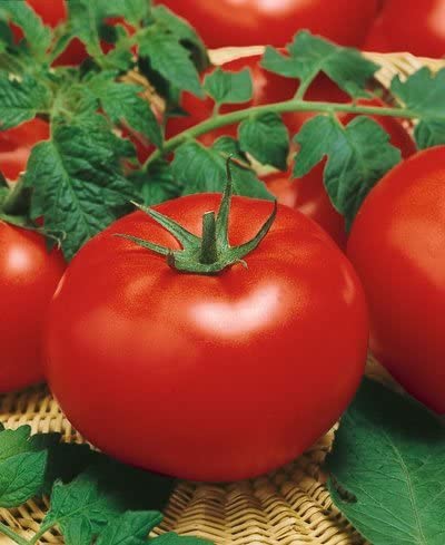 3-pack - Vegetables, Tomatoes