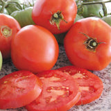 6.3" pot - Tomatoes