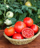 Vertical Farmer - 14" Patio Pot